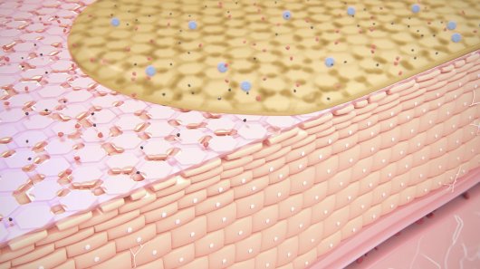 Bioderma Sensibio Ulei micelar de curățare combină atât acțiunea de curățare, cât și cea de îngrijire pentru a oferi confort pielii.