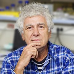 Specialist în inflamm’ageing, dr. Miroslav Radman, biolog și genetician
