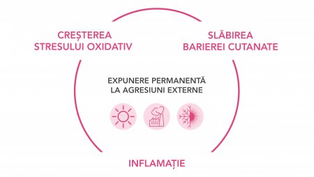 Cum poate conduce slăbirea barierei cutanate la inflamm'ageing ?