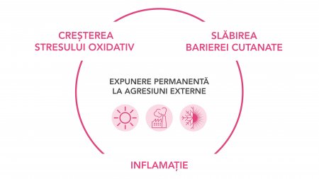 Cum poate conduce slăbirea barierei cutanate la inflamm'ageing ?