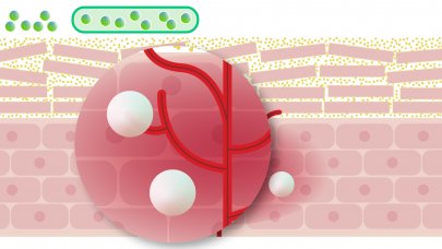 Graphic representation of the skin-soothing effect of Bioderma Intensive Balm