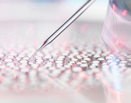 Ingrediente biomimetice pentru pielea sensibilă