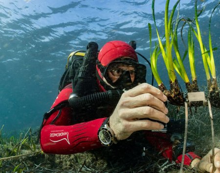  cercetare a biologiei marine